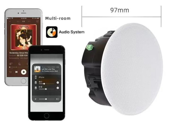 CS1 Trådløs Loftshøjttaler - Multirums, WiFi & Bluetooth, 105dB
