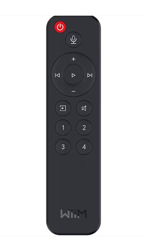 Wiim remote